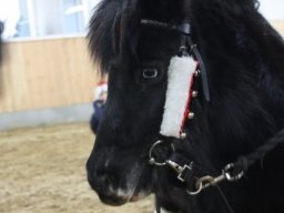 img_8326 640x480_web